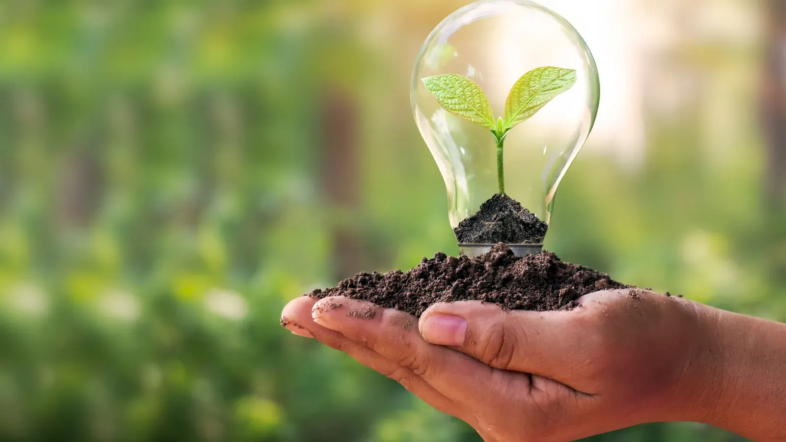 Planta industrial en Nuevo León con instalaciones de control ambiental visibles
