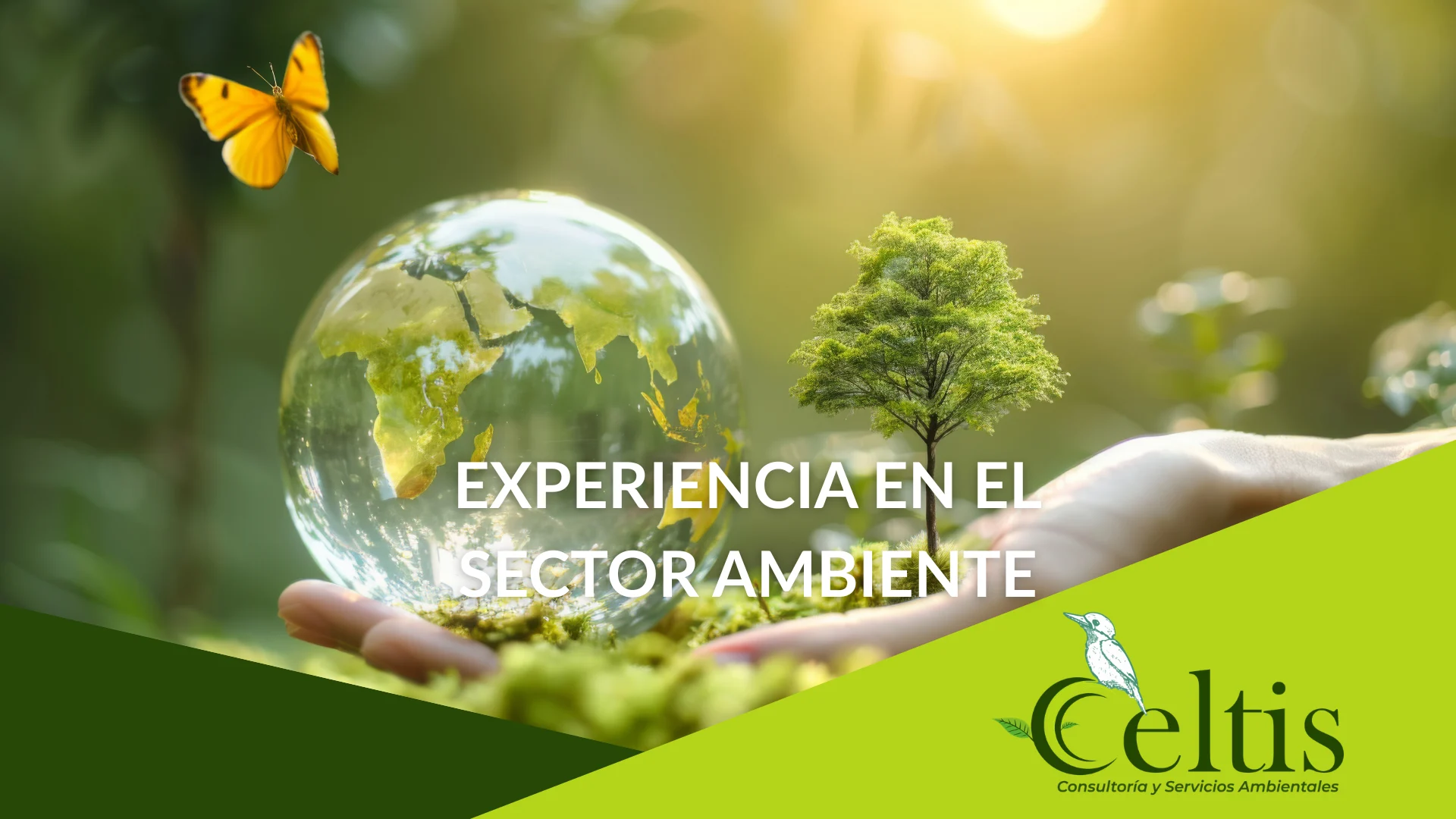 Celtis — Experiencia en el sector ambiental. Consultoría y servicios ambientales.